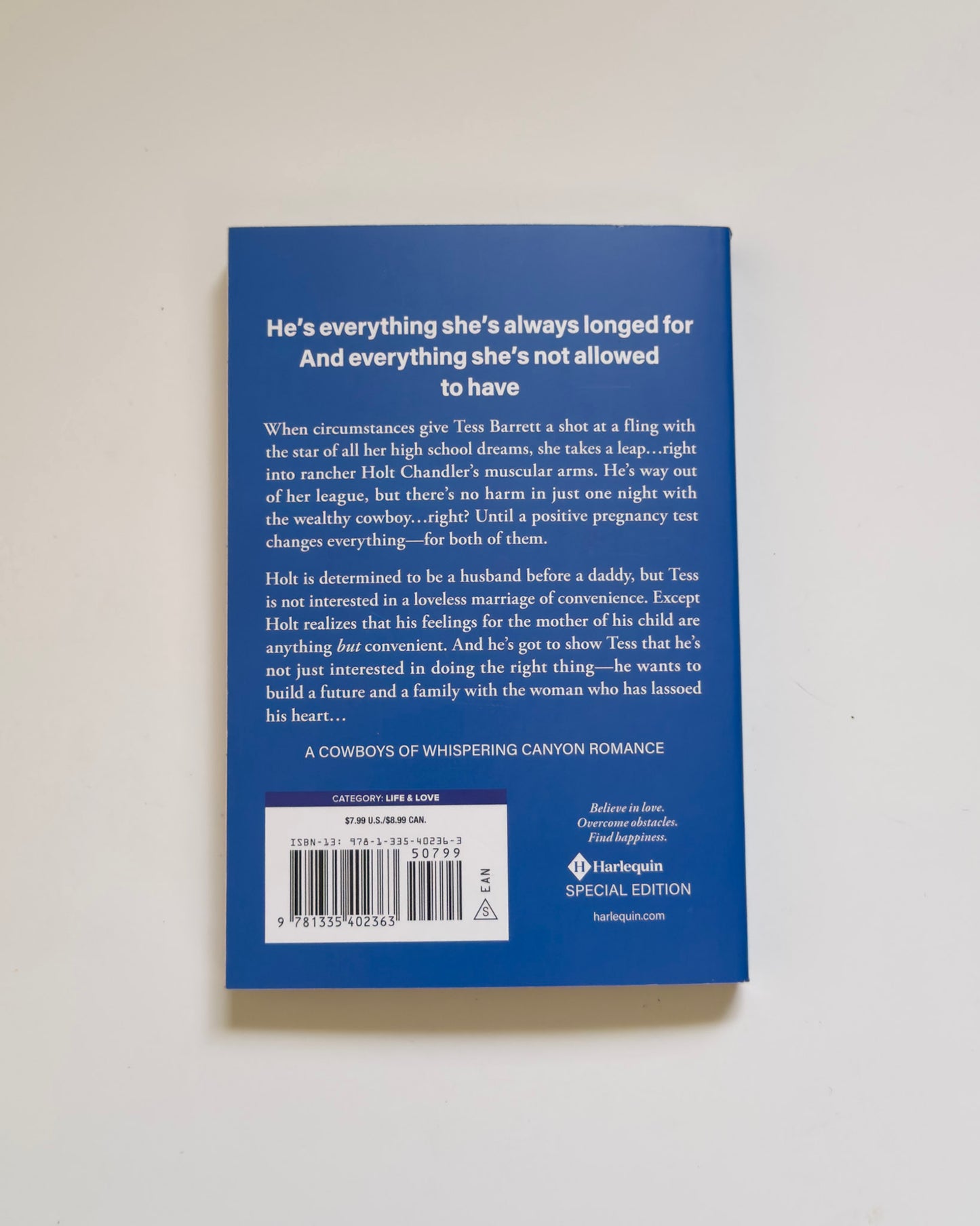 The Rancher's Temptation: Whispering Canyon's Unexpected Family―A Contemporary Romance (The Cowboys of Whispering Canyon, 1)